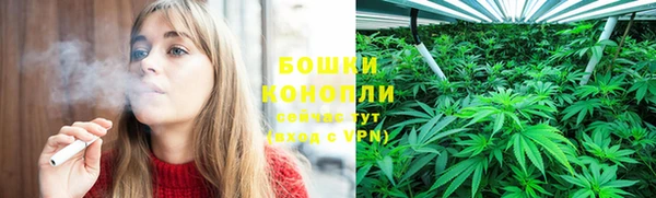 ГАЛЛЮЦИНОГЕННЫЕ ГРИБЫ Лихославль