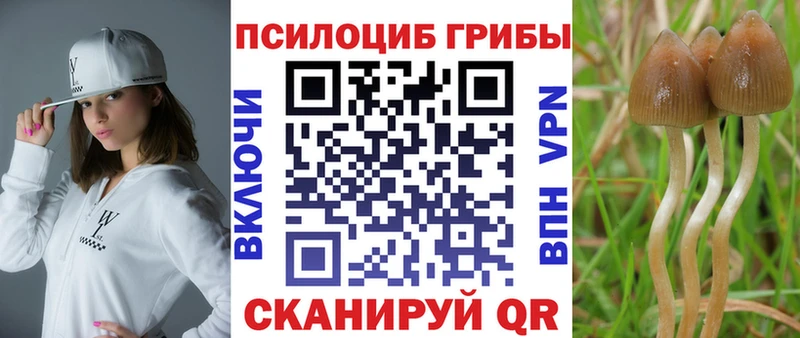 Псилоцибиновые грибы Magic Shrooms  OMG tor  Тейково 